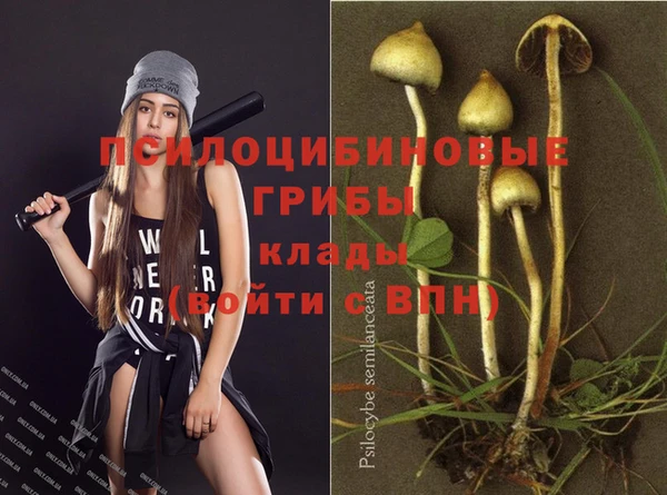 спиды Волосово