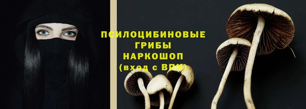 спиды Волосово