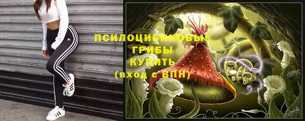 спиды Волосово