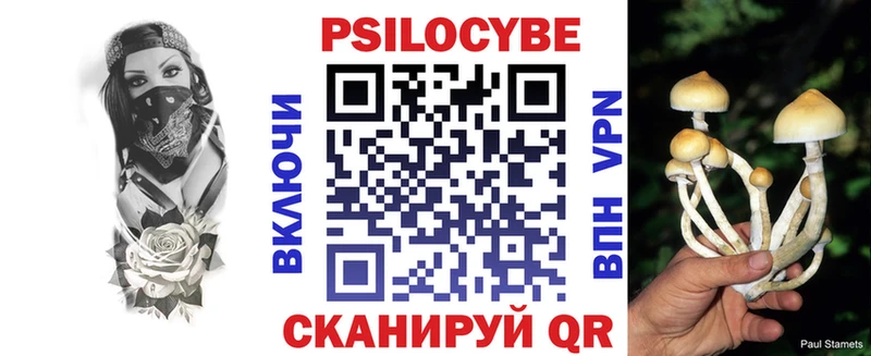 Галлюциногенные грибы GOLDEN TEACHER  shop официальный сайт  Камешково  где найти наркотики 